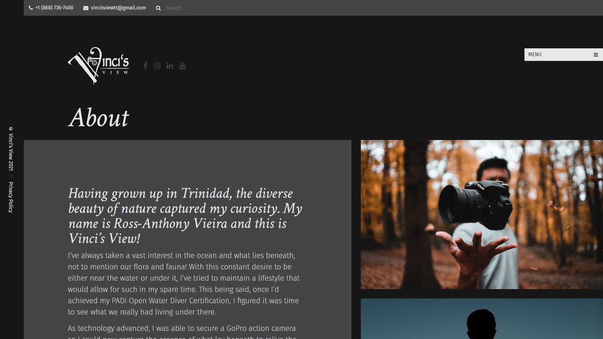 Vinci's View Website project detail